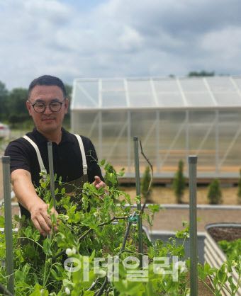 이장호 생거진천 케어팜 대표가 농작물을 살펴보고 있다.(사진=이지현 기자)