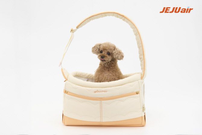 제주항공, 반려동물 동반 여행 서비스 강화. (사진=제주항공)