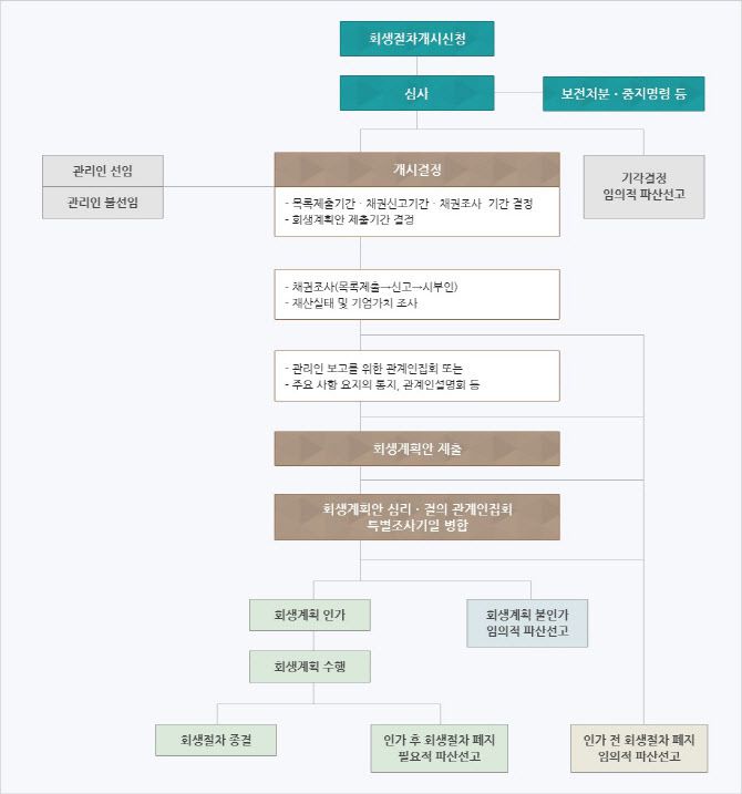 회생절차 흐름도 (자료=서울회생법원)