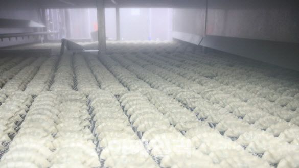 CJ제일제당 비비고 왕교자 제조공정 (사진=CJ제일제당)