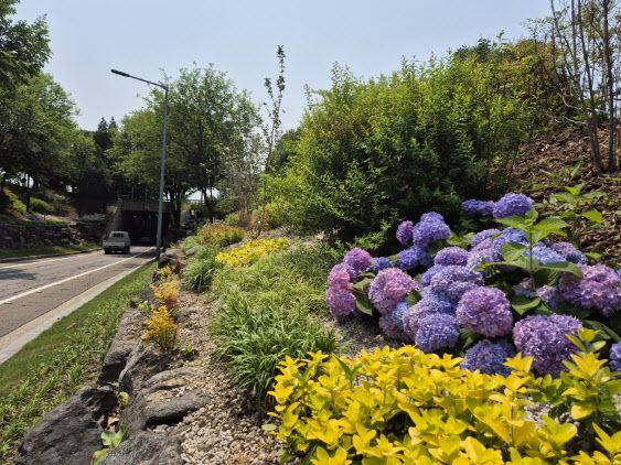 성수대교 북단 나들목에 조성된 ‘바람길숲’ 전경. (사진=성동구)