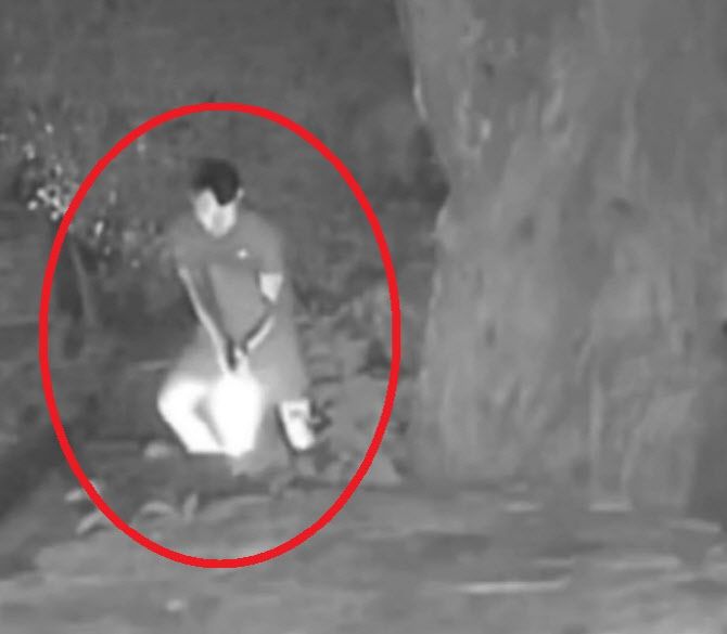 학대 당시 CCTV에 찍힌 남성들의 범행 모습. (사진=비글구조네트워크 인스타그램 캡처)