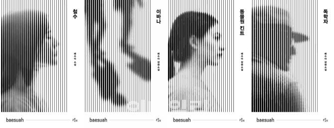 배수아 작가 ‘철수’, ‘이바나’, ‘동물원 킨트’, ‘독학자’ 표지. (사진=레제)