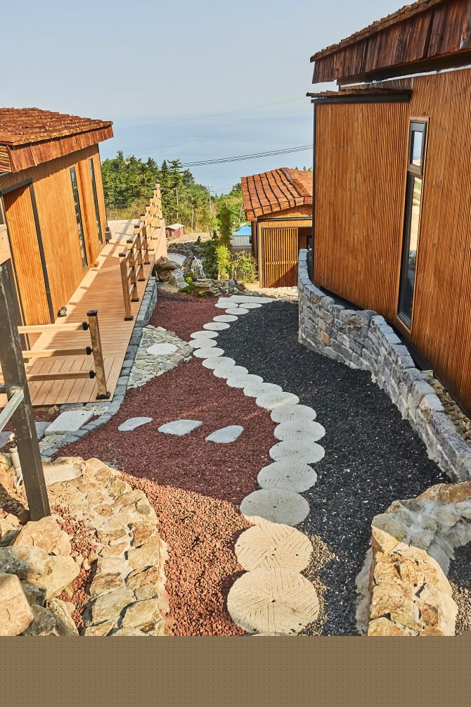 (사진=스테이너와)