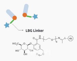 리가켐바이오의 링커 기술. (사진=리가켐바이오)