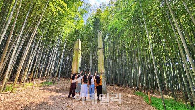 부산 기장의 아홉산숲