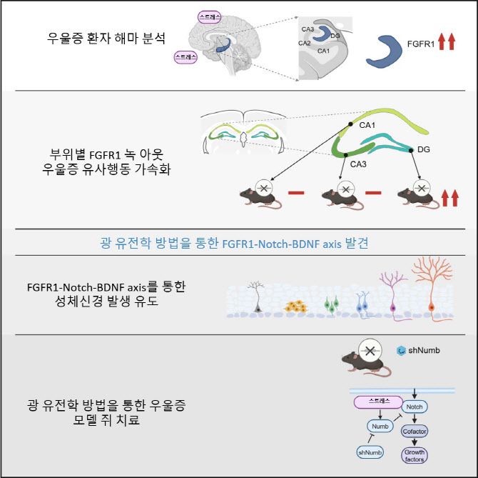 연구 내용 시각화 요약.(자료=KAIST)