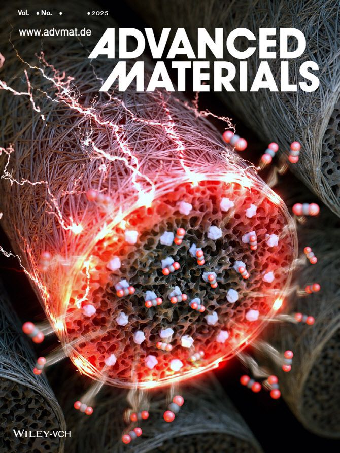 ‘어드밴스드 머터리얼즈’ 표지.(자료=KAIST)