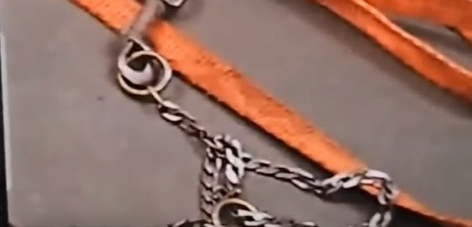 목줄로 쓴 체인.