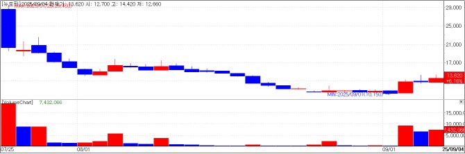 뉴로핏 차트(자료=KG제로인 MP닥터)