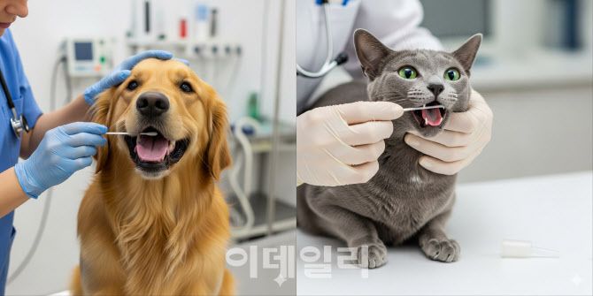 강아지와 고양이의 유전자 검사를 하는 모습을 나노 바나나로 만들어 냈다.