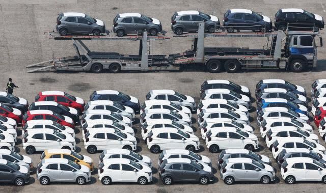 경기도 평택항에 수출용 자동차가 세워져 있다. (사진=연합뉴스)