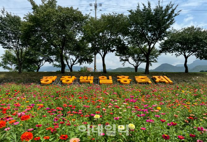 대표적인 가을꽃 ‘백일홍’을 테마로 강원 평창강변 일대에서 7개 테마의 산책로를 조성한 ‘평창 백일홍축제’는 주말인 12일까지 이어진다. (사진=평창군)