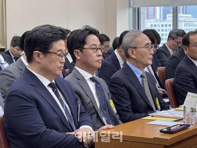 14일 국회 정무위원회 국정감사에서 증인으로 참석한 (오른쪽부터) 김영섭 KT 대표와 조좌진 롯데카드 대표, 김병주 MBK파트너스 회장. (사진=권하영 기자)