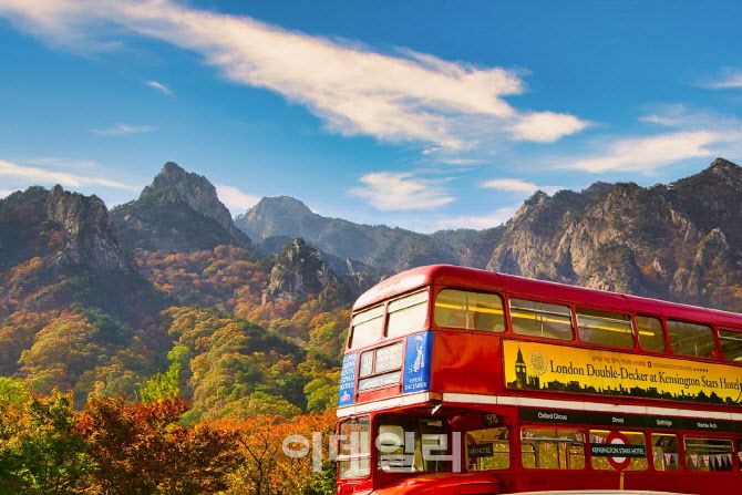 이랜드파크 켄싱턴호텔 설악 권금성 전망의 가을 전경 (사진=켄싱턴호텔앤리조트)