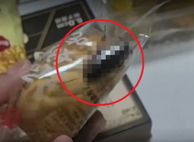 중국의 한 개별 포장된 빵 봉지에 살아있는 바퀴벌레가 들어있는 모습. (사진=사회관계망서비스 캡처)