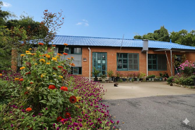 마을 주민이 꾸민 손바닥정원