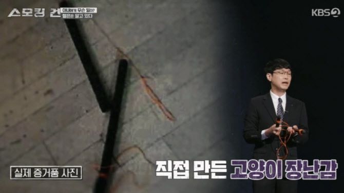 A씨가 B씨를 살해하는 과정에서 폭행할 때 썼던 쇠 파이프가 달린 고양이 장난감. (사진=KBS 스모킹건 캡처)