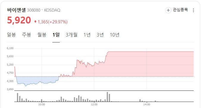 Vigencell stock performance (Source: Naver Finance)