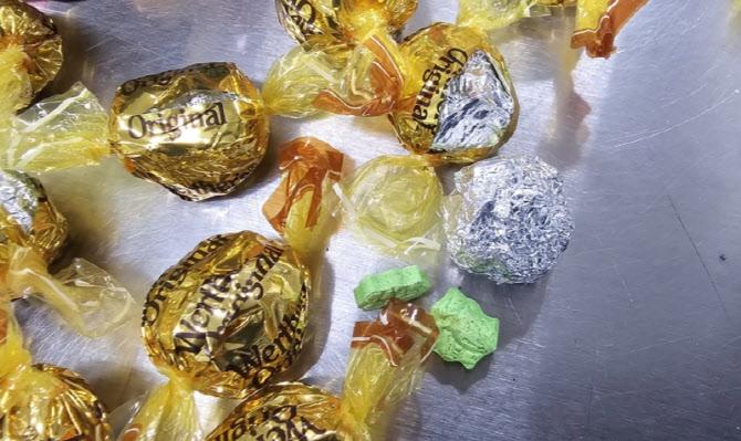 적발 마약. 관세청