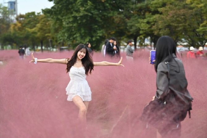 미사경정공원 핑크뮬리 꽃밭 속에서 진행된 K-POP 댄스 챌린지.(사진=하남시)