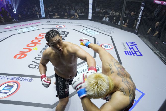 일본의 타이세이(왼쪽)가 배동현에게 펀치를 적중시키고 있다. 사진=로드FC