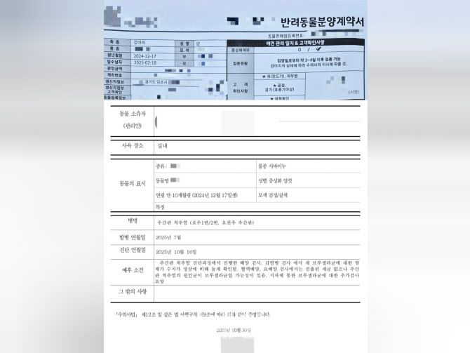 지난 2월 경기 성남시의 한 펫샵에서 강아지를 분양받으면서 A씨가 받은 반려동물분양계약서의 내용이다. 생산자 정보에 이번에 브루셀라균이 검출된 농가의 이름과 주소가 적혀 있다(위). A씨가 방문한 동물병원에서 받은 “개 브루셀라균에 대한 항체 수치가 정상에 비해 높게 확인됐다”는 취지의 진단서 내용이다.(아래) (사진=독자 제보)