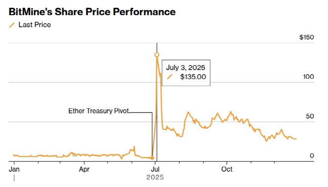 비트마인 올해 주가 추이. (사진=블룸버그)