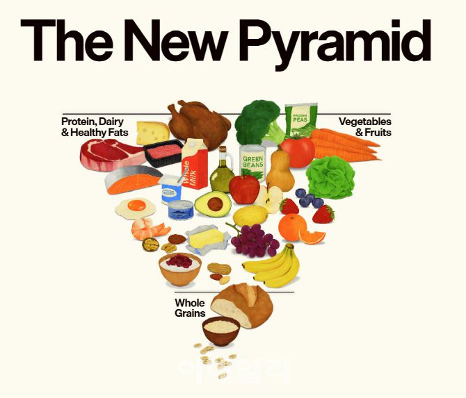 트럼프 행정부가 전면 개편해 2026년 1월 7일(현지시간) 발표한 미국인 식생활 지침 식품 피라미드 (미국 정부 공식 웹사이트 갈무리)