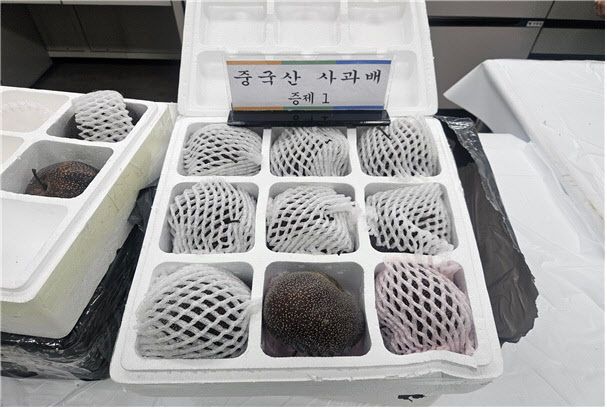 (사진=농림축산검역본부)