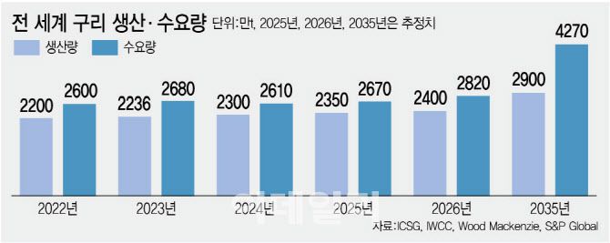 그래픽=이데일리 김정훈 기자