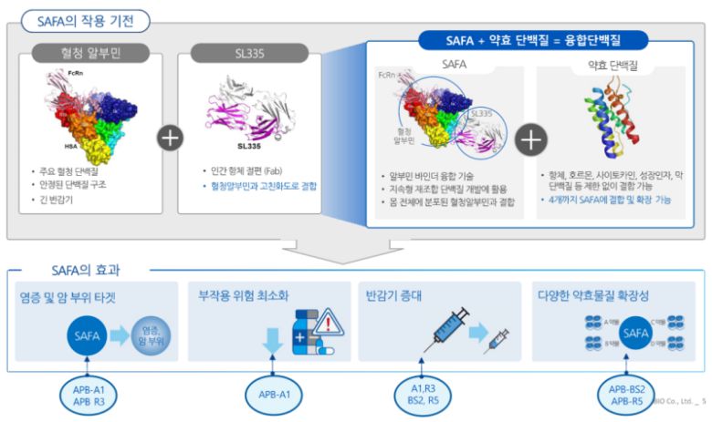 SAFA의 작용 기전(자료=에이프릴바이오)