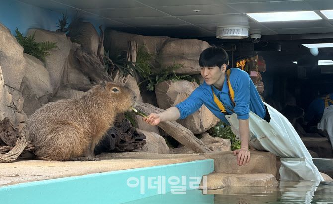 지난 8일 롯데월드 아쿠아리움에서 ‘바라’에게 먹이를 주고 있는 김종남 아쿠아리스트 (사진=이민하 기자)