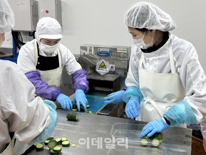 이랜드이츠 기흥 센트럴 키친에 족발 절단 기계로 오이를 손질하고 있다. (사진=신수정 기자)