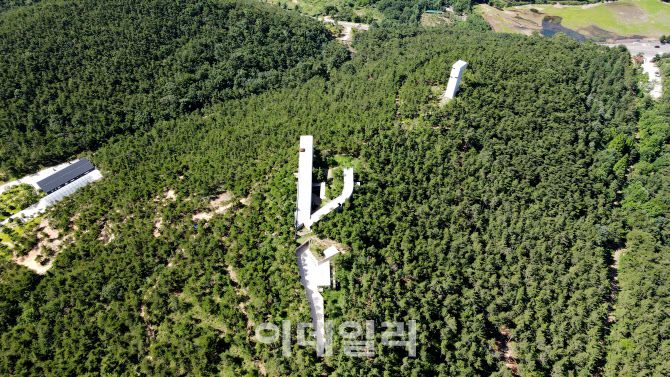 사유원 알바로 시자의 작품인 소요원. 하늘에서 보면 y 자 모습이다