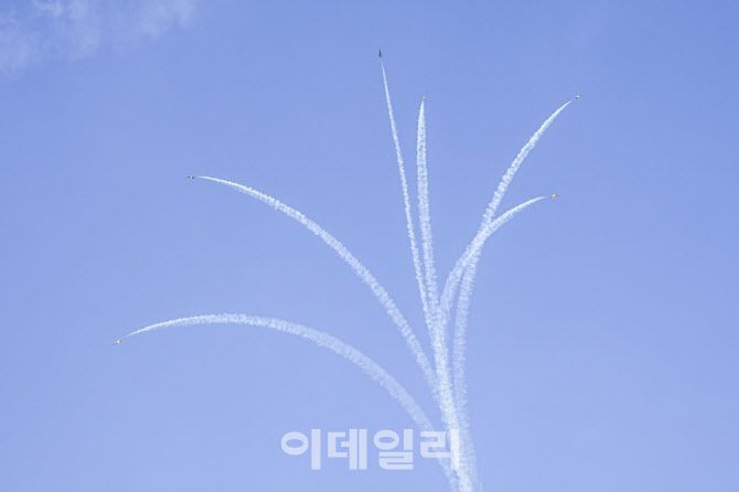 블랙이글스 무궁화 기동 (사진=공군)