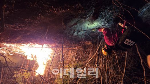 21일 발생한 전남 광양 산불에 산림청 산불특수진화대가 투입돼 산불을 진화하고 있다. (사진=산림청 제공)