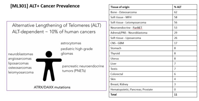 '대체 텔로머라아제 유지 기전'(ALT) 암은 전체 암에서 10%를 차지한다. 특히, ALT가 많이 나타나는 암은 골육종, 지방육종, 평활근육종, 혈관육종, 신경모세포종, 췌장 신경내분비종양, 소아 고등급 교종, 성상세포종 등이 있다. (제공=비엘멜라니스)