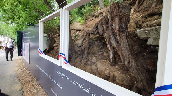 그림 '나무뿌리들'의 실제 배경. 반 고흐의 사후 130주기를 맞아 28일 공개됐다/오베르쉬르우아즈=손진석 특파원