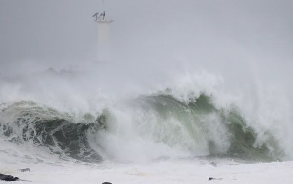 제주도가 제8호 태풍 '바비'의 직접 영향권에 들어간 26일 오전 제주 서귀포시 대정읍 모슬포항 방파제에 강한 파도가 몰아치고 있다./연합뉴스
