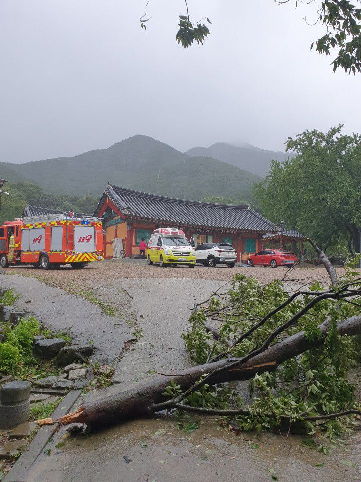 7일 충남 공주 신원사에서 태풍의 영향으로 나무가 부러져 70대 노인이 다쳤다. /공주소방서