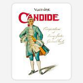 계몽주의 철학자 볼테르가 쓴 우화 소설 '캉디드’(1759년) 책 표지. 순진한 청년 캉디드의 스승 팡글로스(아무 말이나 하는 사람) 박사를 통해 당시 유럽의 낙천적 세계관을 비판했다.