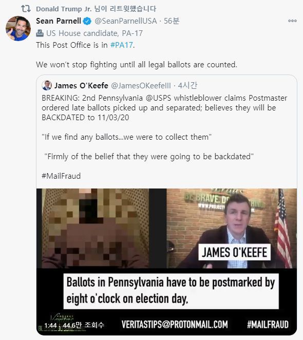 우편 투표 부정을 주장한 이른바 '게릴라 언론인'의 주장을 공유한 도널드 트럼프 주니어 트위터.