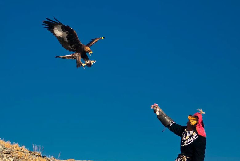 몽골인들의 오랜 역사적 전통인 독수리사냥. 어릴때 둥지에서 빼낸 검독수리를 사냥꾼으로 부리다 일정 시간이 지나면 자연으로 돌려보낸다. /MERIDIAN