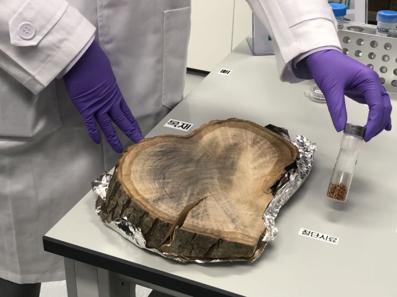 대전 국립문화재연구소 내에 개관한 문화재분석정보센터 1층 가속질량분석기(AMS) 연대측정실에서 목재 연대측정 전처리 준비작업을 시연하고 있다. /연합뉴스