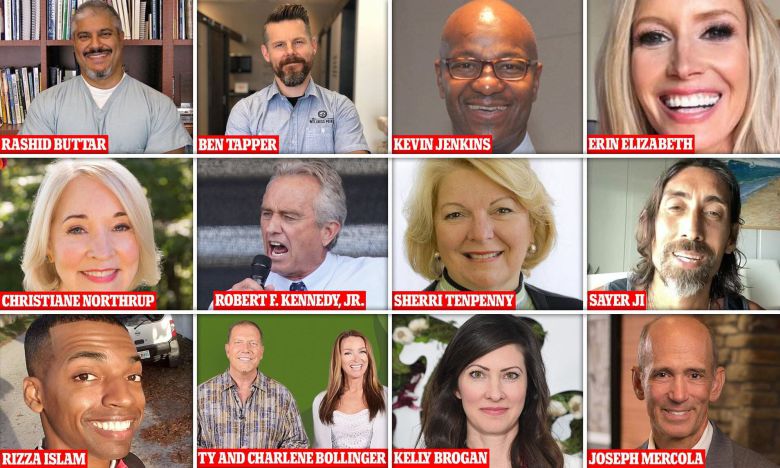 '백신 허위정보 12인방(The Disinformation Dozen)'으로 꼽히는 인사들. 건강 관련 사이트 운영자, 보디빌더, 척추지압사, 변호사 등이 있으며 의사들도 포함돼있다. /데일리메일