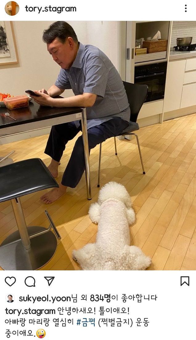 윤 전 총장을 감시하고 있는 마리. /토리스타그램