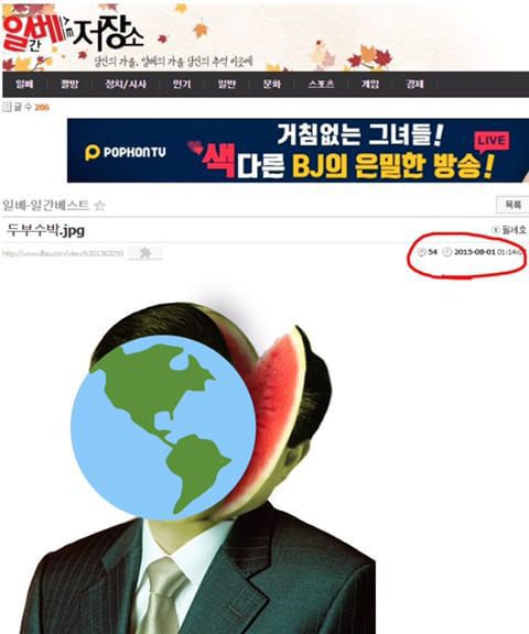 일베에 올라온 수박 관련 이미지. /일베
