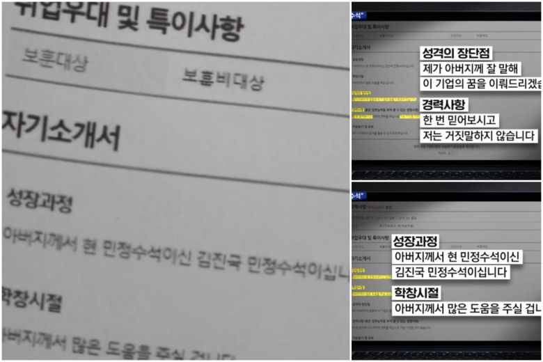 청와대 김진국 민정수석의 아들이 한 기업에 낸 입사지원서./MBC