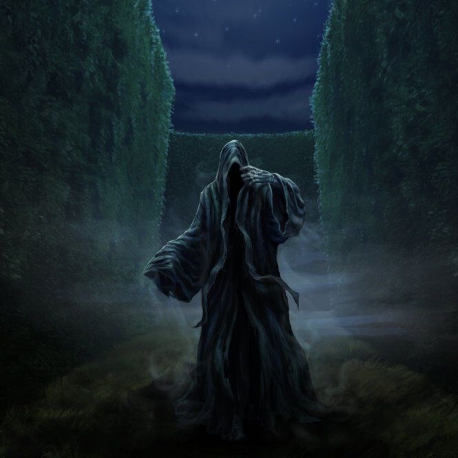 해리포터 시리즈에 등장하는 디멘터. 아즈카반 감옥의 죄수인 이들은 생사람의 영혼을 빨아들여 산송장으로 만드는 '죽음을 먹는 자'들로 불린다. /harrypotter.fandom.com홈페이지. Artemisialufkin